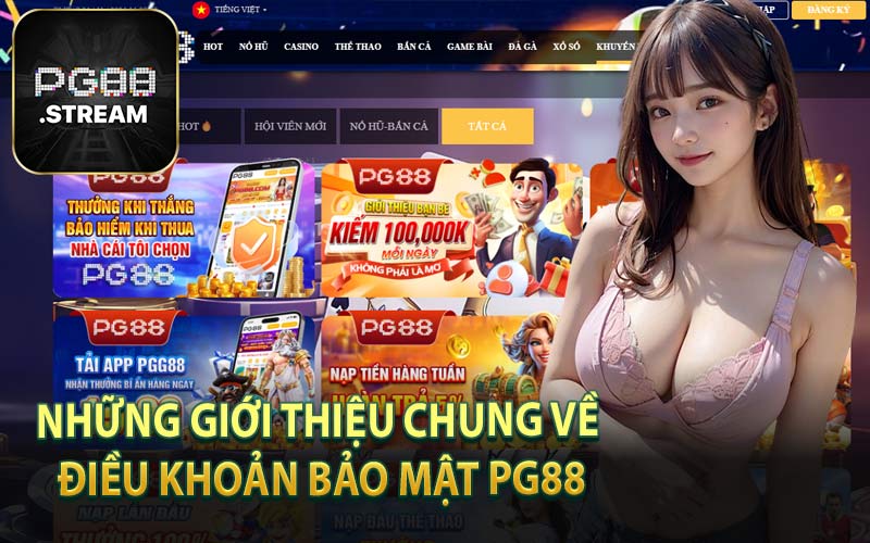 Những Giới Thiệu Chung Về Điều Khoản Bảo Mật PG88